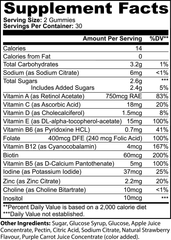 Rodan Sports StoreVitamins & Multivitamin Bear Gummies Adult Rodan Sports Store